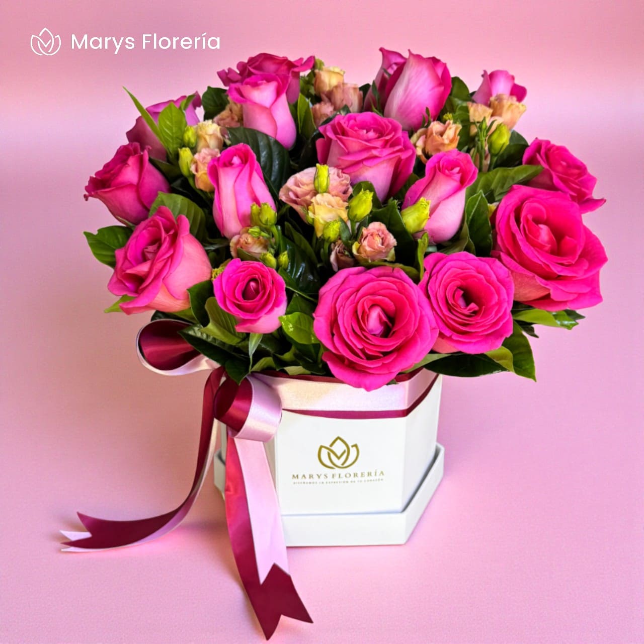 BOX ARANTXA - Imagen 2