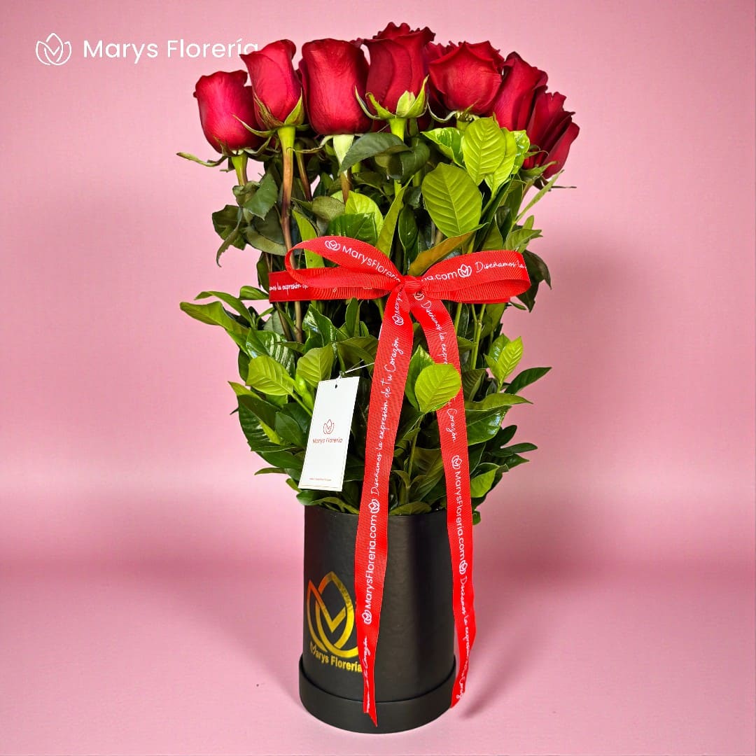 BOX MARIANA - Imagen 2