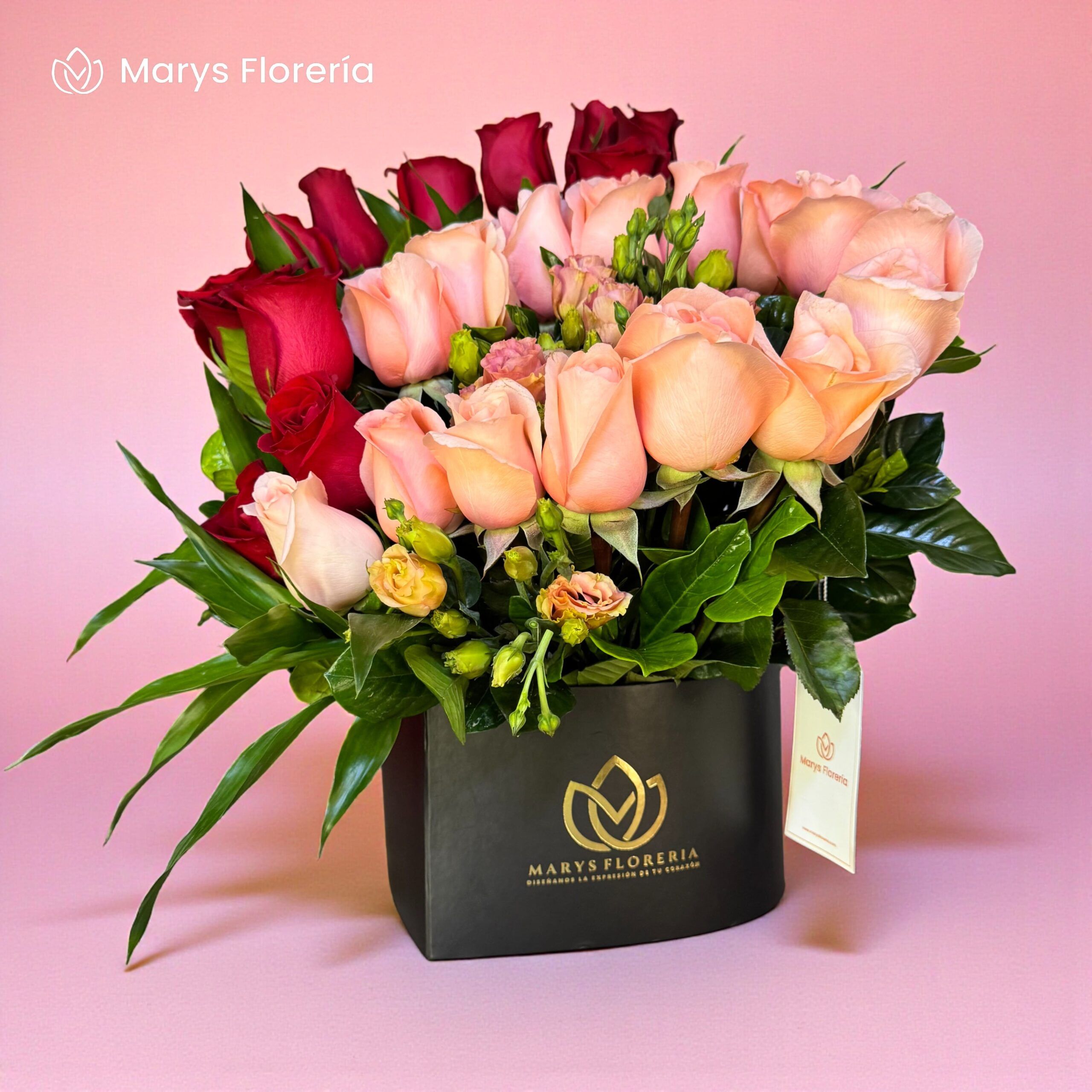 BOX KRISS - Imagen 2