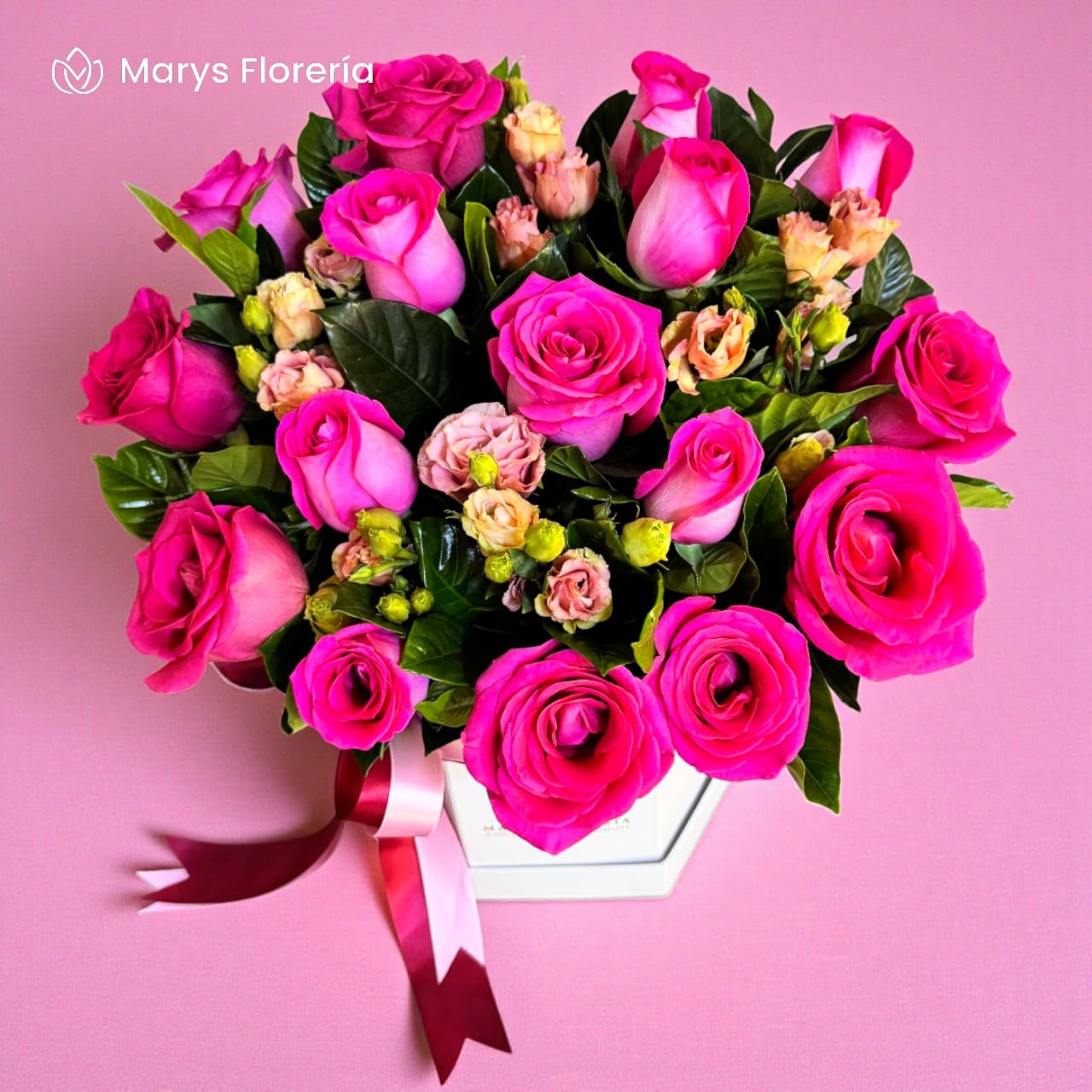 BOX ARANTXA - Imagen 3