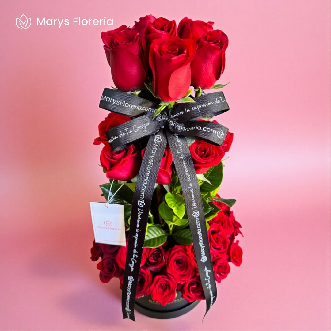 BOX AMANDA - Imagen 2